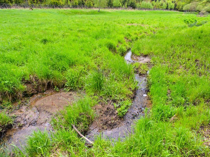 Odkrývání vodních toků