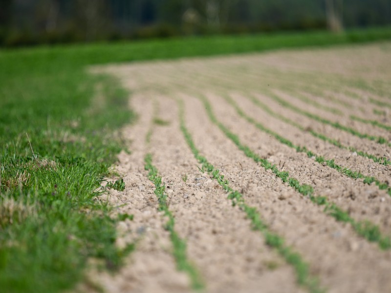 Půdoochranné zpracování půdy (no-till, strip-till)